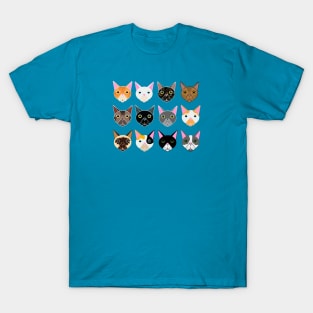 Cats! T-Shirt